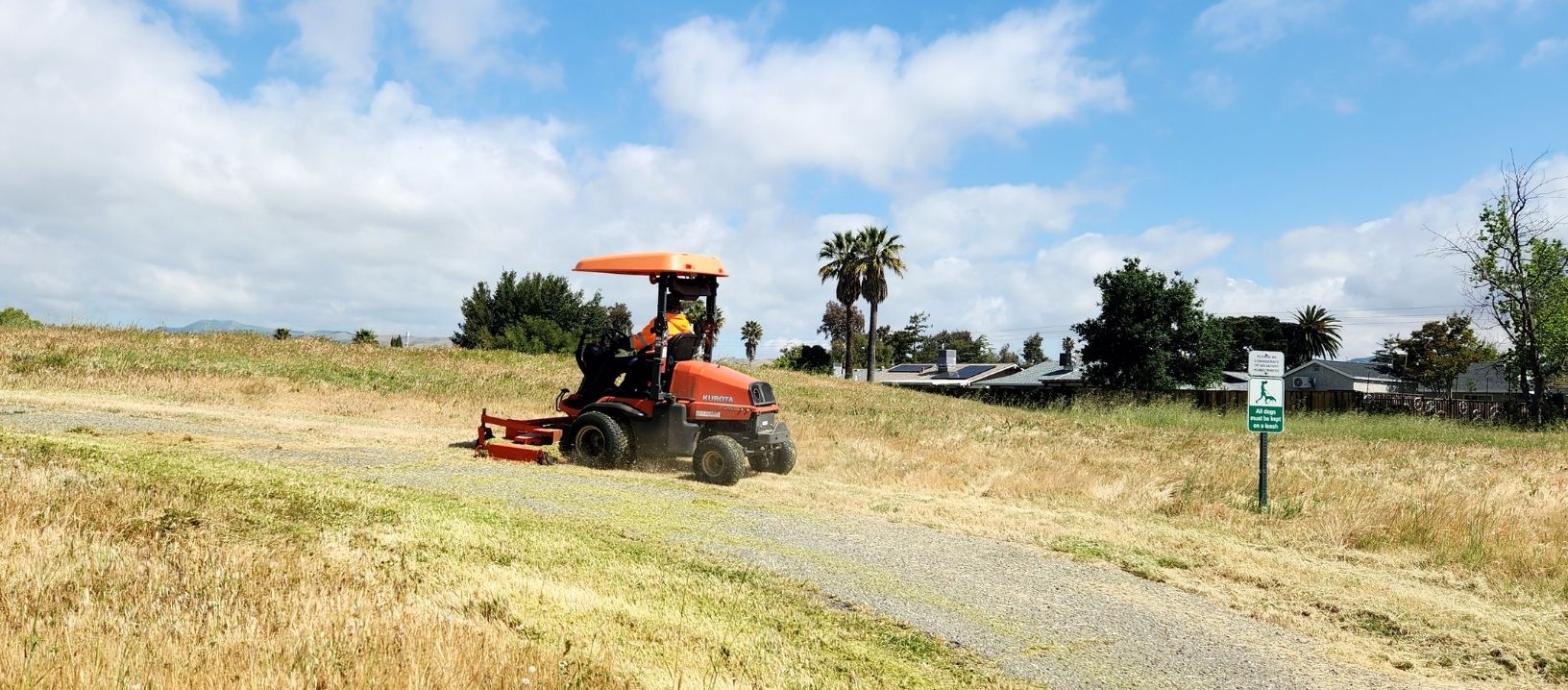 Maintenance Work - Weed Abatement